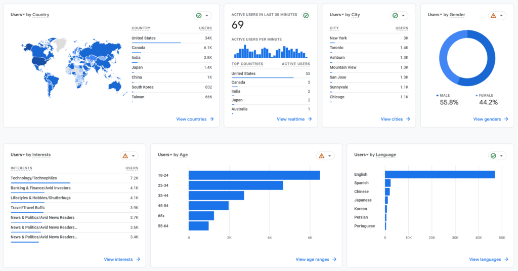 User demographics pictured in Google Analytics.